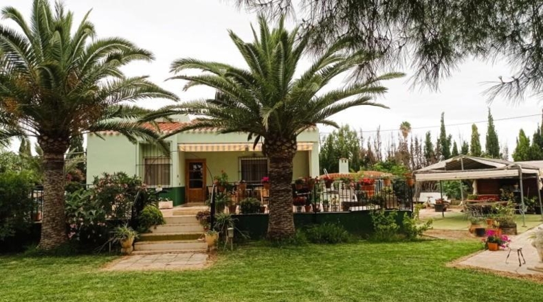 Alicante - Torrellano - 3500m2