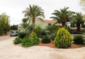 Casa de camp amb terreny en venda a la España, Torrellano, ref.: TR410398 foto