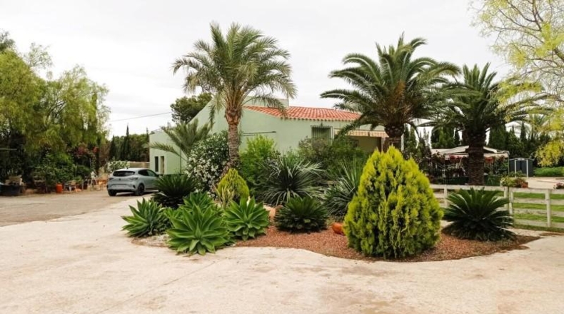 Alicante - Torrellano - 3500m2