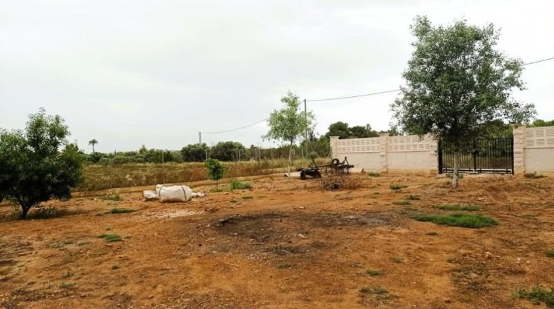 Alicante - Torrellano - 3500m2