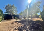 Chalet independiente con terreno en venta en la España, Torrevieja, ref: TR396330 foto