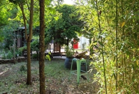 Foto 12