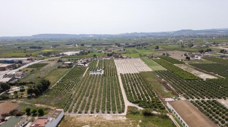 Alicante - Redován - 3220m2