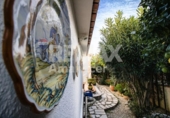 Detached villa with land for sale on España, Dénia, ref: TR354003 photo