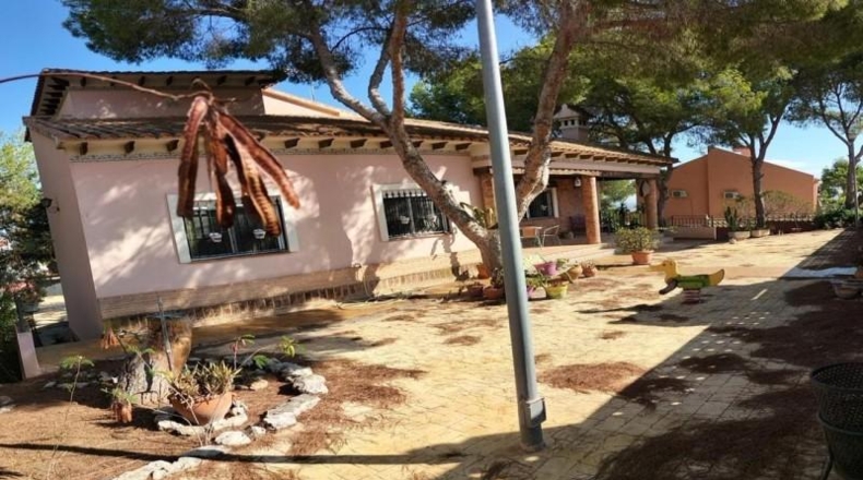 Alicante - San Miguel de Salinas - 1250m2