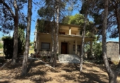 Xalet independent amb terreny en venda a la España, Torrevella, ref.: TR410520 foto