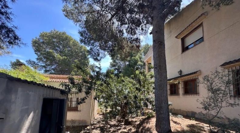 Alicante - Torrevieja - 1300m2