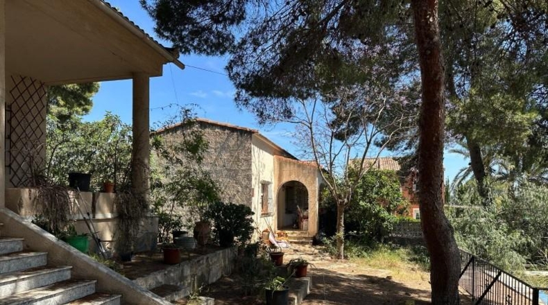 Alicante - Torrevieja - 1300m2