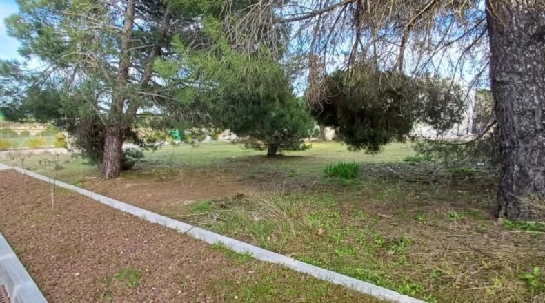 Comunidad de Madrid - Las Rozas de Madrid - 1220m2