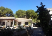 Xalet independent amb terreny en venda a la España, Oriola, ref.: TR345742 foto
