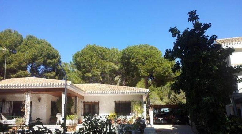 Alicante - Орихела - 800m2