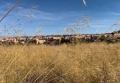 Parcela urbanizable en venta en la España, Ávila, ref: TR131913 foto