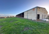 Non-developable land for sale on España, Casar de Cáceres, ref: TR411368 photo