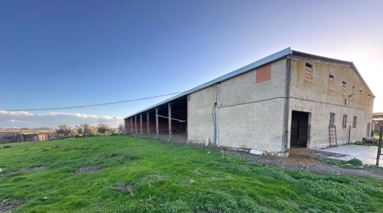 Cáceres - Casar de Cáceres - 10500m2