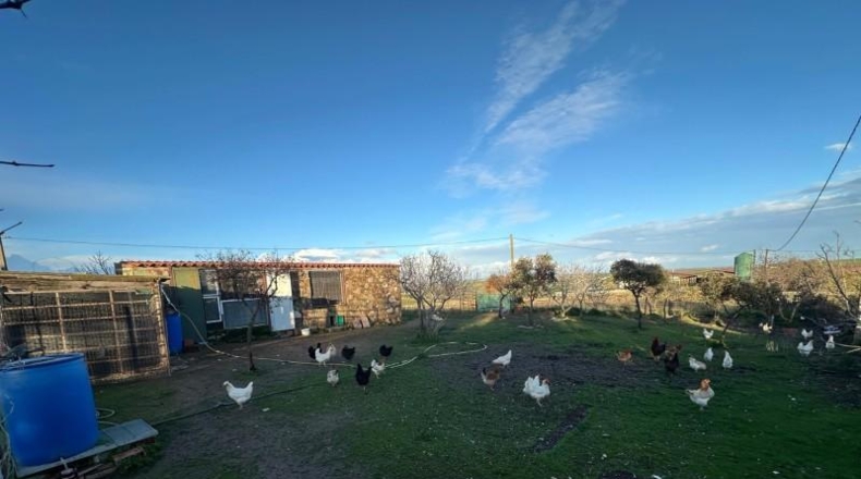 Cáceres - Casar de Cáceres - 10500m2
