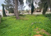 Suelo urbano en venta en la España, l'Escala, ref: TR406920 foto