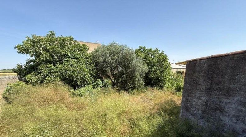 Badajoz - Badajoz - 1000m2