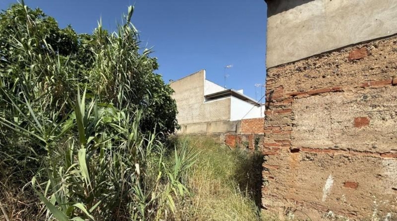 Badajoz - Badajoz - 1000m2