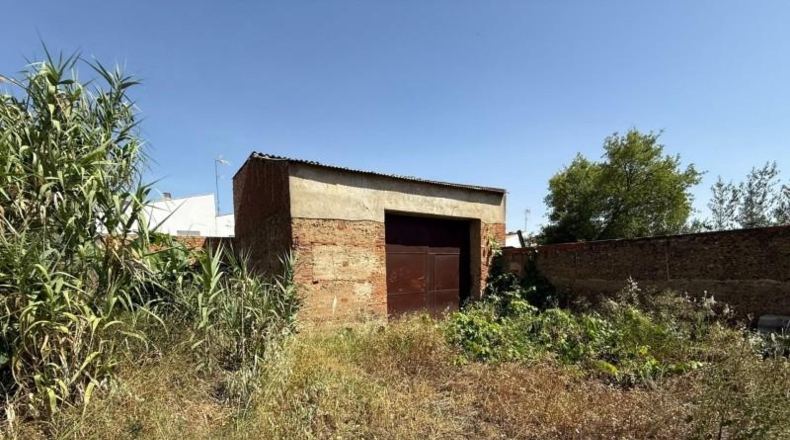 Badajoz - Badajoz - 1000m2