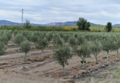 Отдельно стоящий дом с участком на продажу в городе Santa Fe Фото