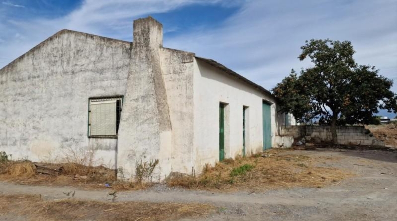 Santa Cruz de Tenerife - Arafo - 29000m2