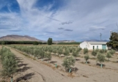 Отдельно стоящий дом с участком на продажу в городе Santa Fe Фото