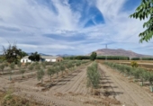 Отдельно стоящий дом с участком на продажу в городе Santa Fe Фото