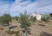 Отдельно стоящий дом с участком на продажу в городе Santa Fe Фото