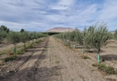 Отдельно стоящий дом с участком на продажу в городе Santa Fe Фото