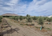Отдельно стоящий дом с участком на продажу в городе Santa Fe Фото