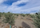 Отдельно стоящий дом с участком на продажу в городе Santa Fe Фото
