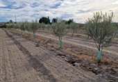 Отдельно стоящий дом с участком на продажу в городе Santa Fe Фото