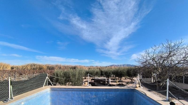 Alicante - Villena - 8000m2