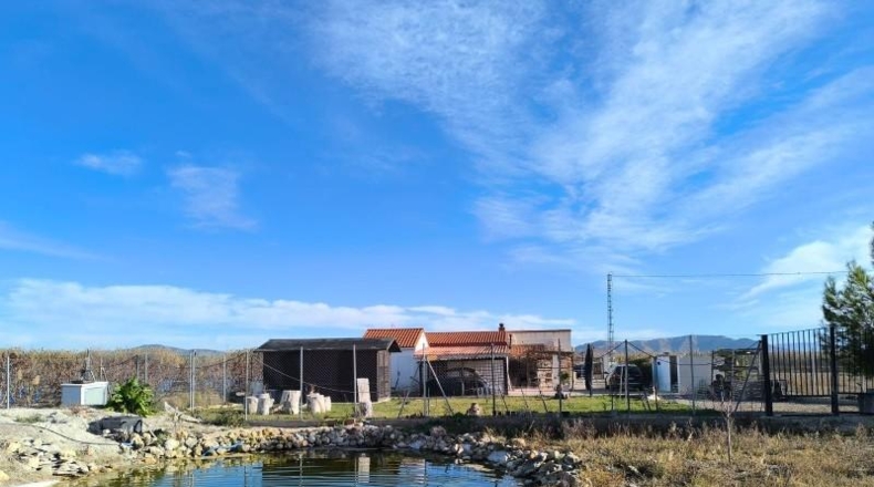 Alicante - Villena - 8000m2