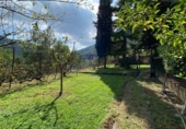 Xalet independent amb terreny en venda a la España, Rossell, ref.: TR353045 foto