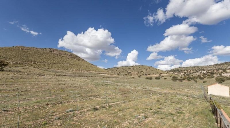 Granada - Beas de Guadix - 1800000m2
