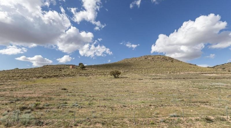 Granada - Beas de Guadix - 1800000m2