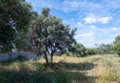Дом с участком на продажу в городе Motril Фото