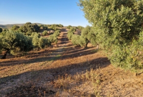 Arroyo del Ojanco 9&nbsp;м²