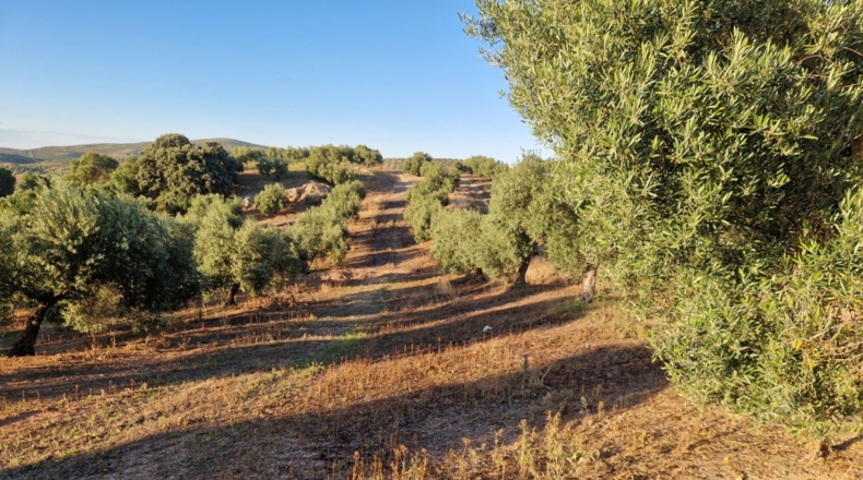 Jaén - Arroyo del Ojanco - 9m2