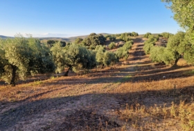Arroyo del Ojanco 9&nbsp;м²