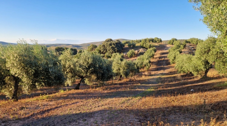 Jaén - Arroyo del Ojanco - 9m2