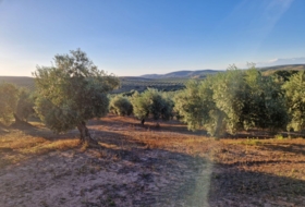 Arroyo del Ojanco 9&nbsp;м²