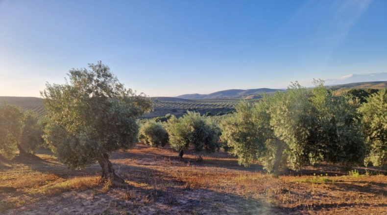 Jaén - Arroyo del Ojanco - 9m2