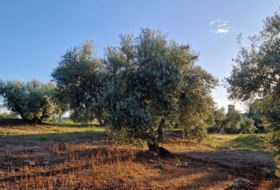 Arroyo del Ojanco 9&nbsp;м²