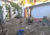 Casa de poble en venda a Valdepeñas ref.: TR66373 foto