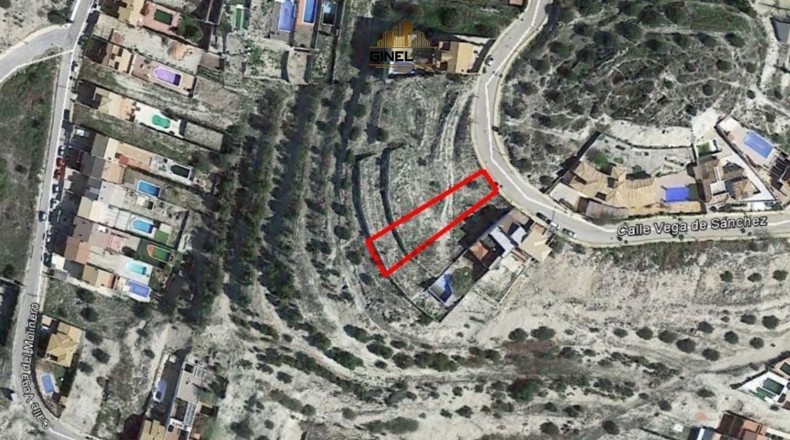 Jaén - La Guardia de Jaén - 600m2
