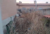 Chalet adosado con terreno en venta en Oropesa ref: TR410475 foto