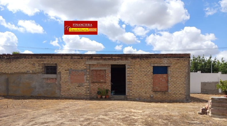 Sevilla - Alcalá de Guadaíra - 2614m2