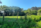 Non-developable land for sale on España, Escalante, ref: TR410486 photo